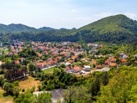 Cetynia